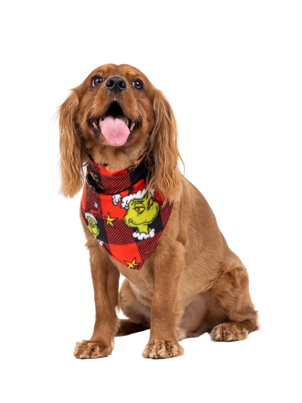 Family Matching Dr. Seuss The Grinch Pajama "Behave For The Holidays" 3 Piece Set