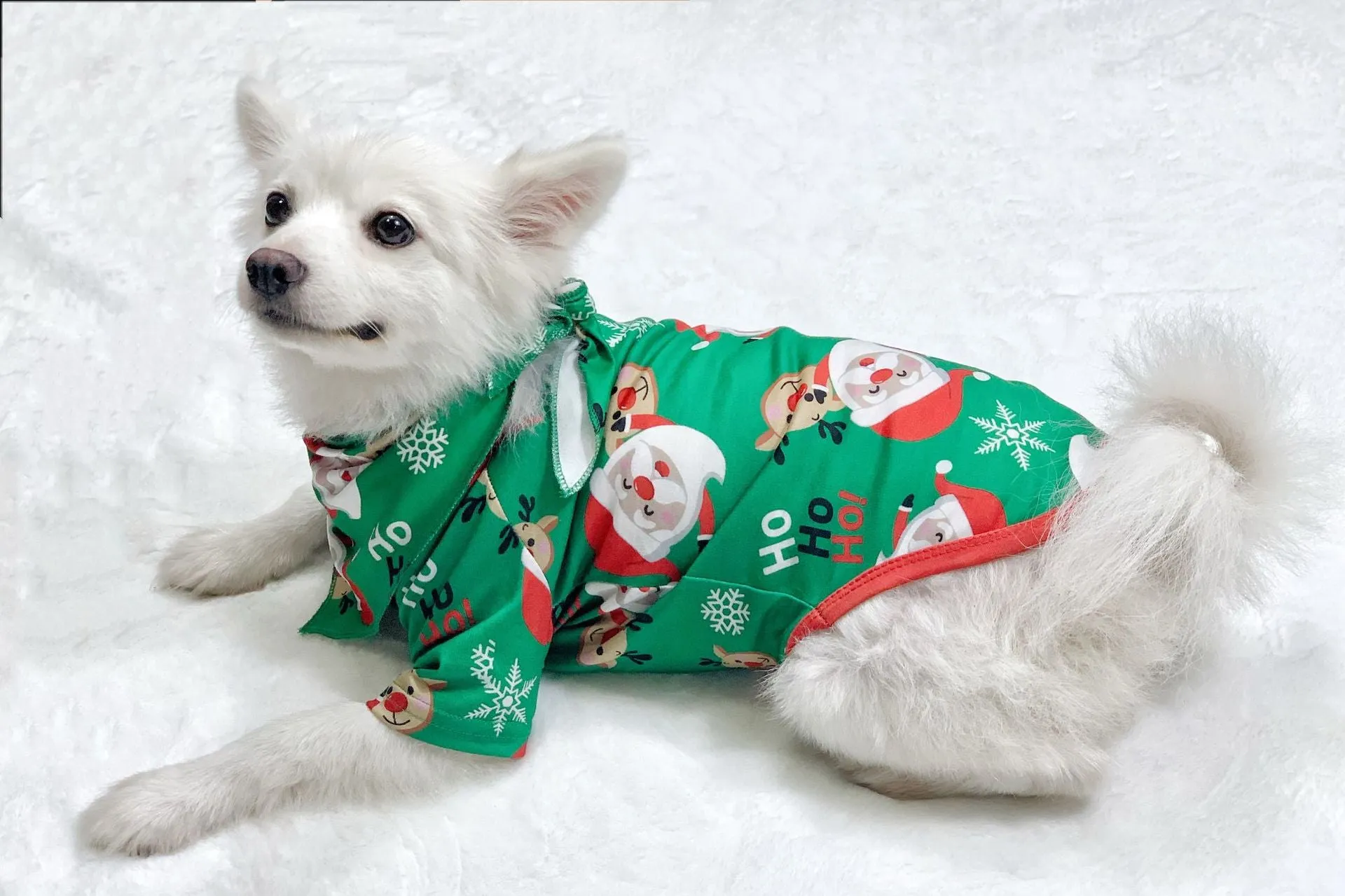 Family Matching Santa Claus Printed Fashion Pajamas