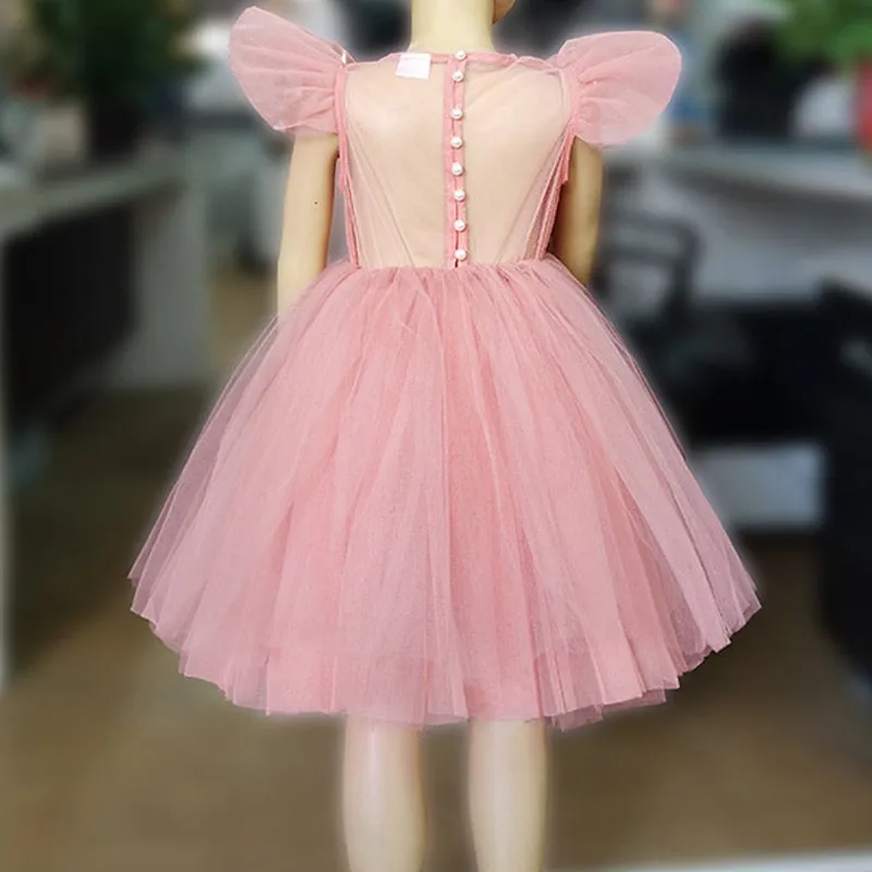Flower Girl Dress, Girls Elegant Princess Dress, Tulle Skirt, Baby, Girls, Kids, Lace Wedding Ceremony Dresses