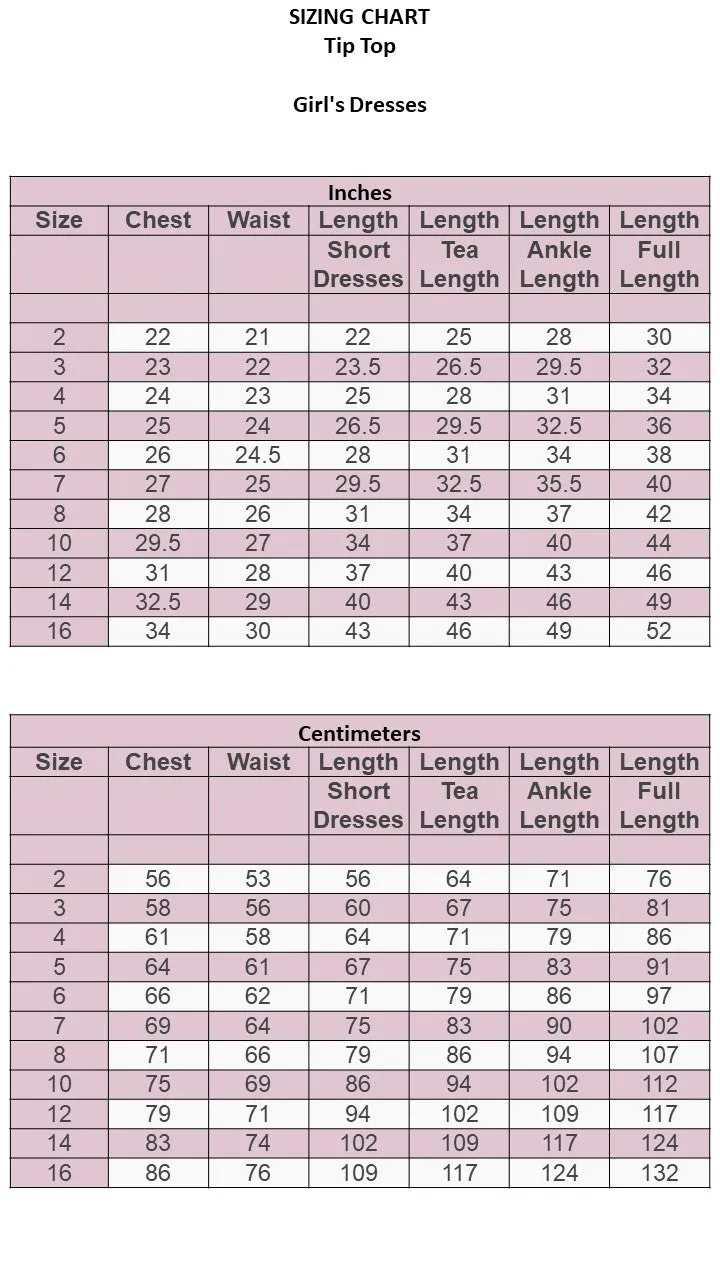 Sleeveless Short Dress with 3D flowers Flower Girl Silver  Dress Tip Top 7027