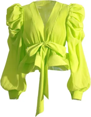 Womens V Neck Puff Long Sleeve Shirt Tops Pleated Ruffles Front Lace Up Fashion Casual Blouse